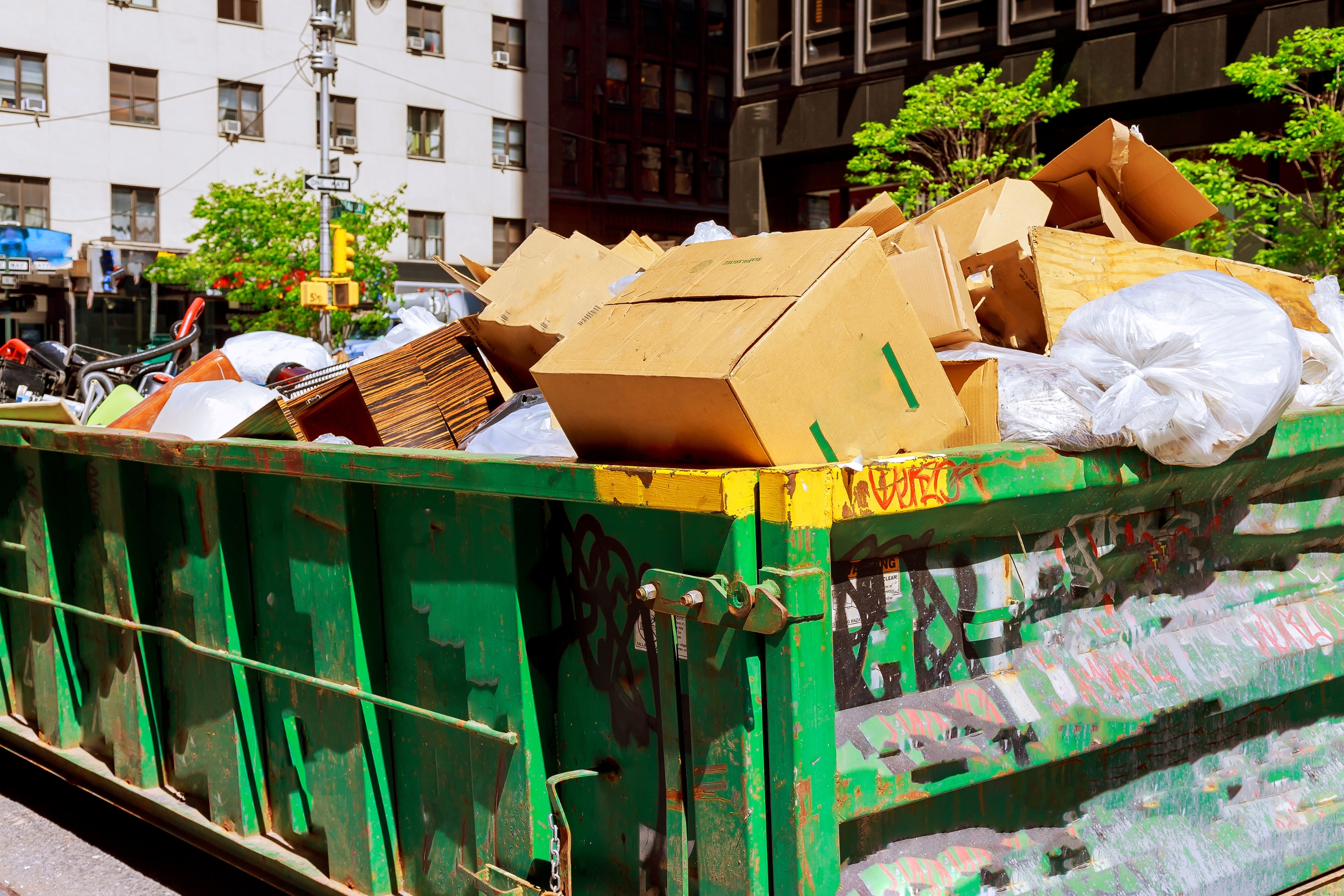 Picking Junk Remover Services