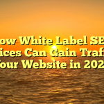 How White Label SEO Services Can Gain Traffic to Your Website in 2022