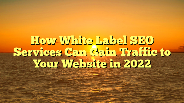 How White Label SEO Services Can Gain Traffic to Your Website in 2022