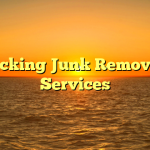 Picking Junk Remover Services