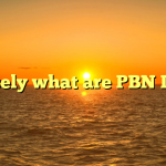 Precisely what are PBN Links?