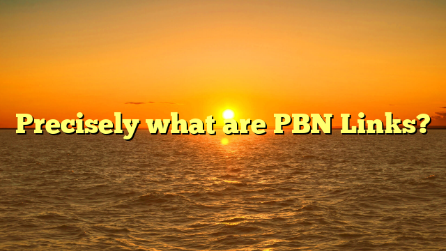 Precisely what are PBN Links?