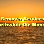 Trash Remover Services — Is it Worthwhile the Money?